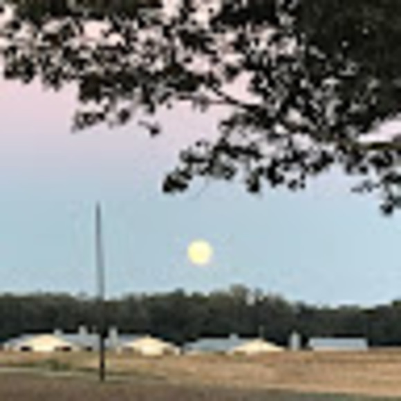 Meet your Posher, Julia - Picture 1 of 1